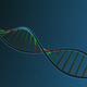 Illustration for article titled Scientists May Have Found a Genetic Risk Factor for Erectile Dysfunction